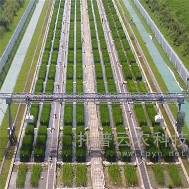 龙门式高通量表型采集分析平台（地轨式）